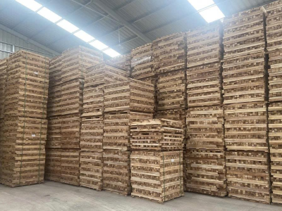 Pallet Bình Dương uy tín – Địa chỉ mua bán pallet giá tốt nhất hiện nay