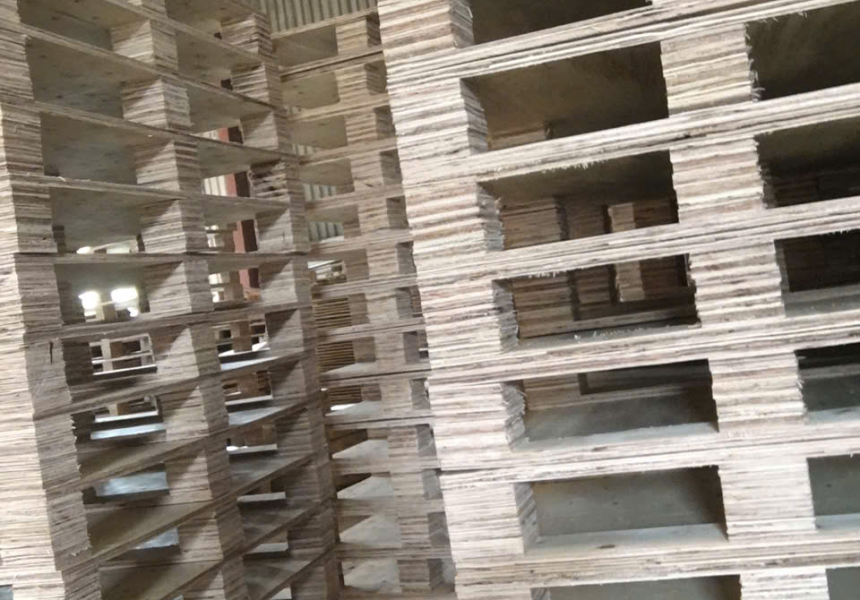 pallet công ty