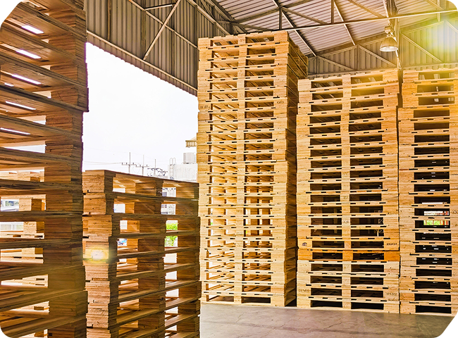 Thị trường pallet gỗ Bình Dương